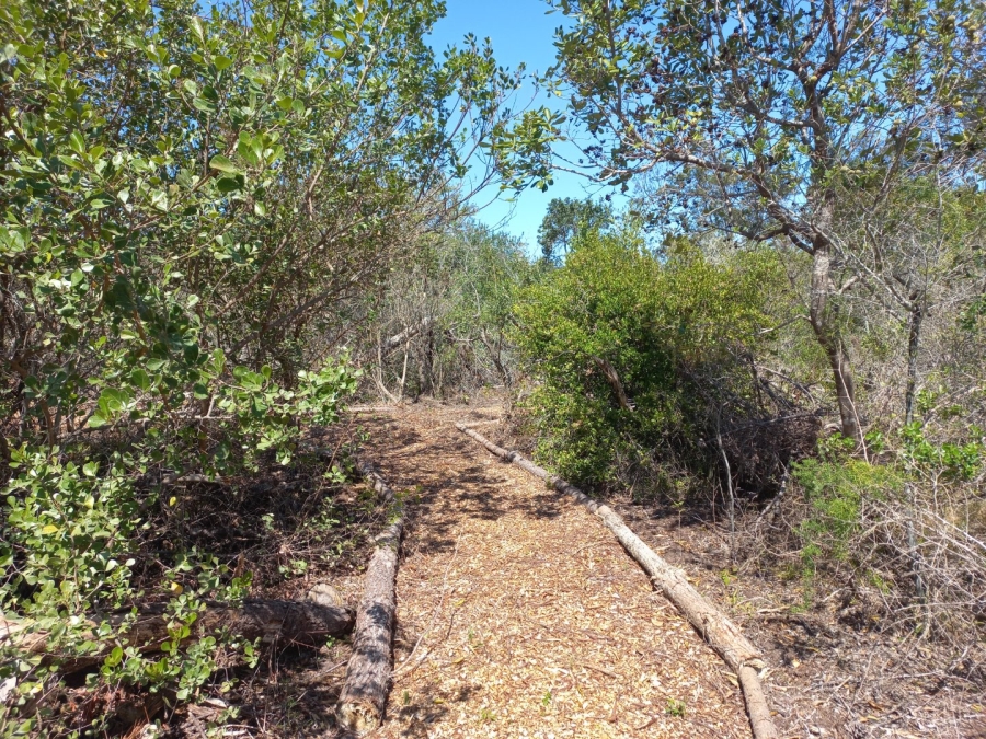 Commercial Property for Sale in Langvlei Dunes Western Cape